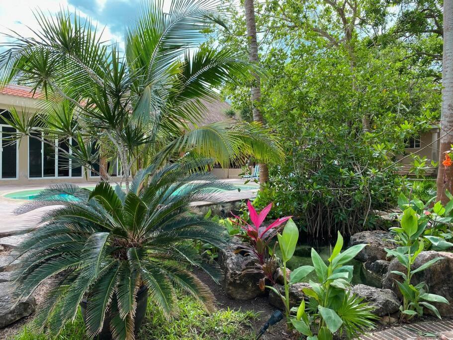 Vila Casa Paamul Playa del Carmen Exteriér fotografie